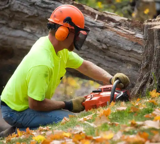 tree services Highlandville